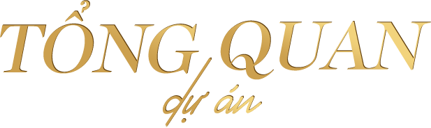 Tổng quan dự án