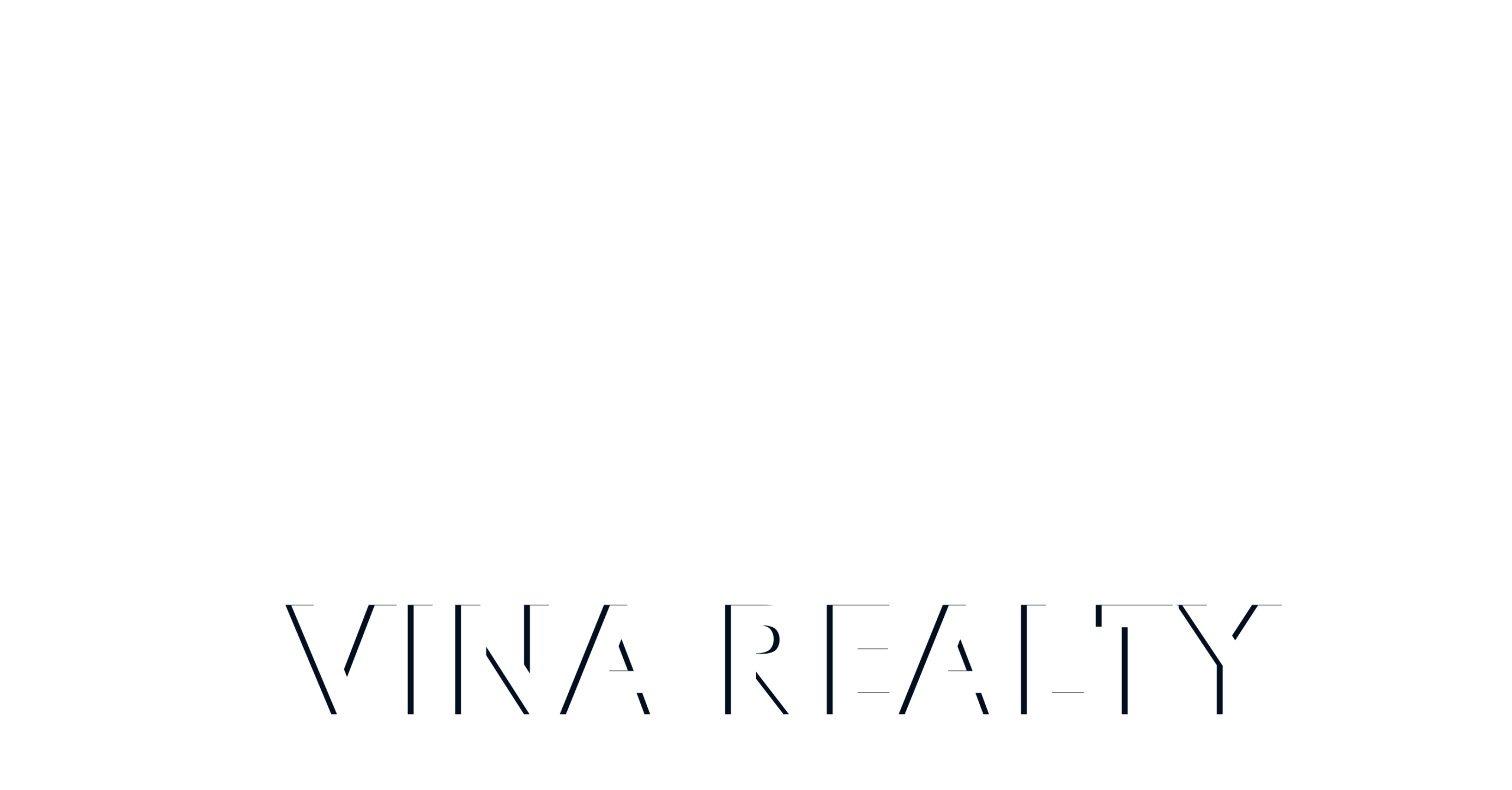 LOGO VINA REALTLY TRANG scaled