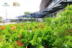 The Win City Thắng Lợi